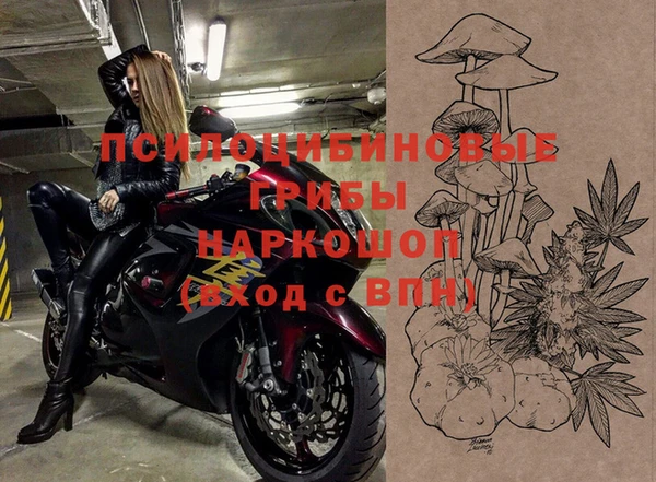 спиды Алзамай