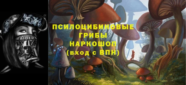 спиды Алзамай