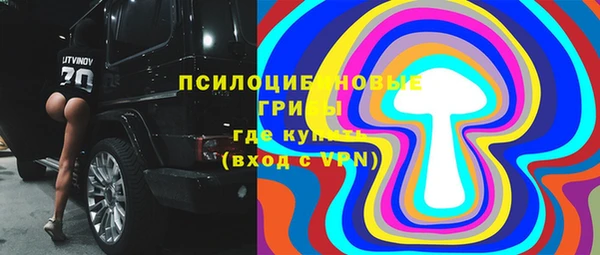 спиды Алзамай