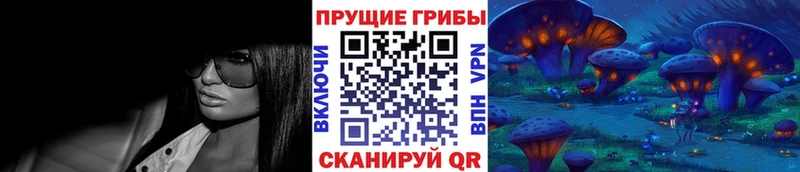 купить   Узловая  МЕГА ONION  Псилоцибиновые грибы MAGIC MUSHROOMS 