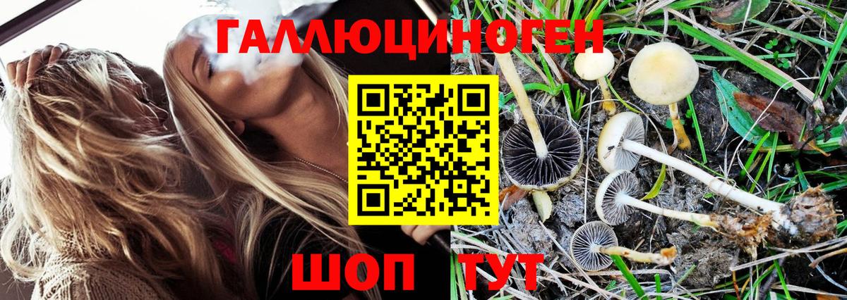 Узловая  Галлюциногенные грибы Magic Shrooms  Псилоцибиновые грибы MAGIC MUSHROOMS  Вход с VPN 